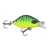 Apace C30