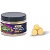 AI Carp Pop Up´s