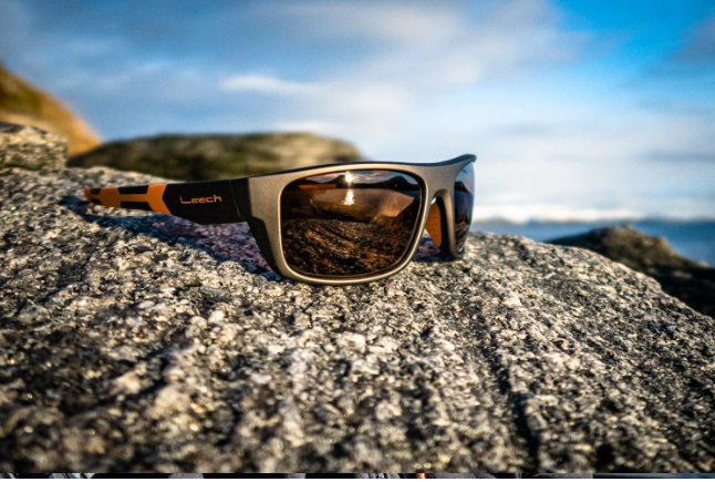 Leech brýle Moonstone gray