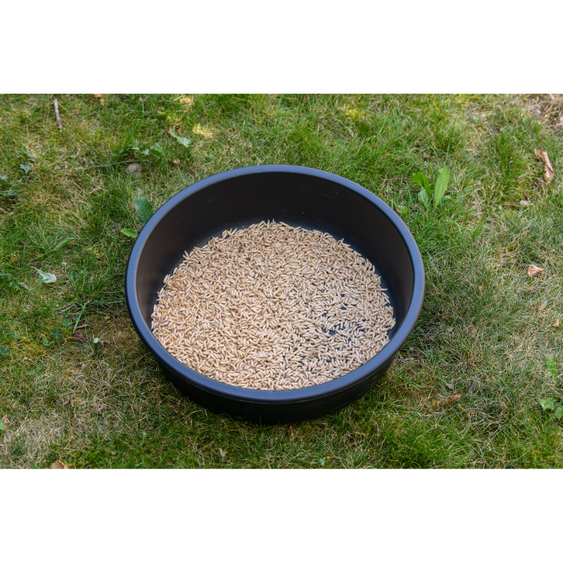 MS Range práškové lepidlo na červy Competition Madenkleber 350g