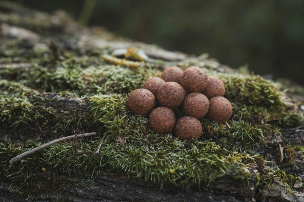 DK FISHING boilies power attract  Monster Crab 5kg