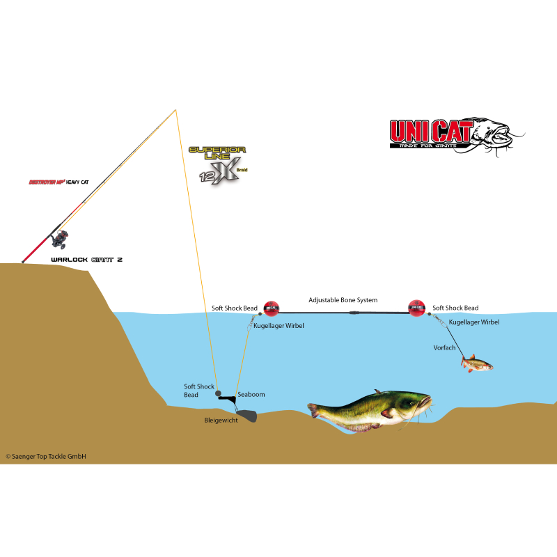 Uni Cat bójka Bone System