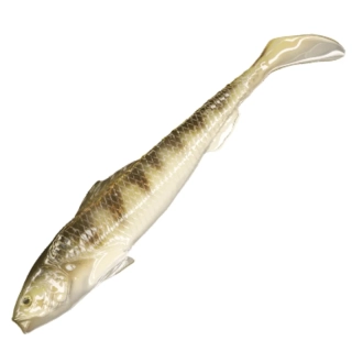 Qubi Lures gumová nástraha Sardynka Natural Perch 12cm 3ks