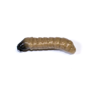 Revol Baits nástraha Caddis Larva 30mm příchuť krevetka, barva tmavě béžová 10ks