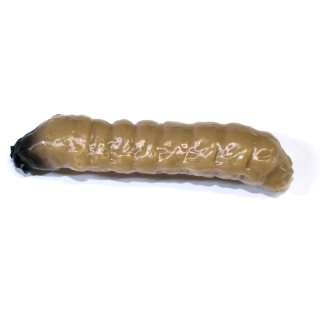 Revol Baits nástraha Caddis Larva 40mm příchuť krevetka, barva tmavě béžová 10ks
